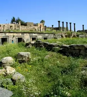 آثار أم قيس في شمال الأردن – رحلة سياحية مع سحر الطبيعة